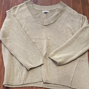 American Eagle V-Neck Sweater